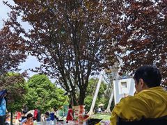 -云漫湖生态度假公园