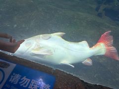 -西安华夏文旅水世界
