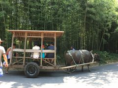 -杭州双溪漂流景区