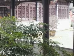 -盆景园(扬州大运河文化旅游度假区)