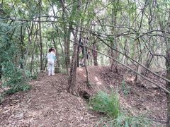 -青龙山国家森林公园