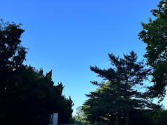 -棒棰岛宾馆景区