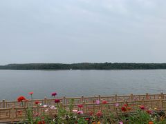 -南京枫彩漫城
