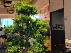 -谭厨中山传家菜.乳鸽.脆鲩鱼(华强北中航城店)