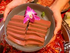 -谭鸭血老火锅(漳州路店)