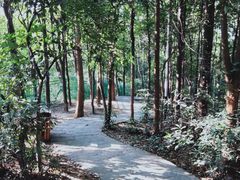 -水濂山森林公园