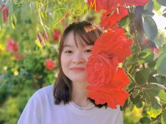 -合肥滨湖国家森林公园