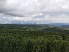 -塞罕坝国家级自然保护区