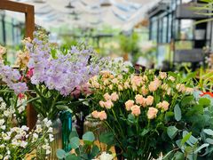 -北马山庄植趣咖啡