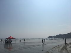 -大鹿岛