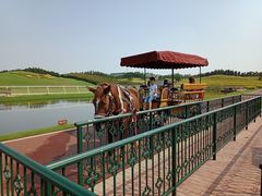 -迪茵湖田家舍生态农场