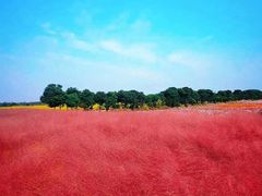 -嘉北郊野公园