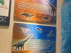 -甘肃地质博物馆