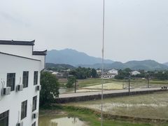 -黄牛肉馆·皖南土菜
