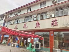 -三毛鱼庄(威连路店)