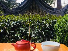 -上海佘山国家森林公园西佘山园