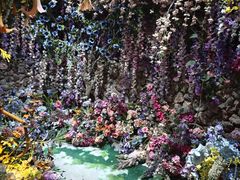 -正佳雨林生态植物园