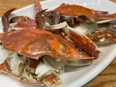 -金海湾海鲜排档(朱家尖店)