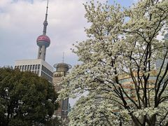 -公平路渡口(轮渡站)