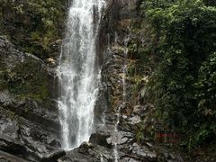 -鼎湖山风景区
