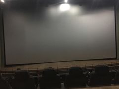 -天幕新彩云国际影城(激光巨幕店)