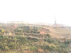 -河口景区