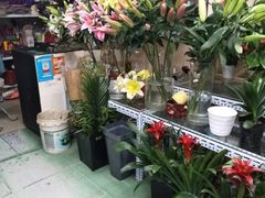-爱尚鲜花店(粤通综合楼店)