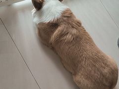 -平行世界·猫咖(首经贸店)