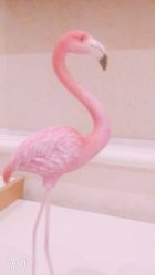 -久美荟·J Baby face