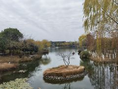 -东台西溪天仙缘景区