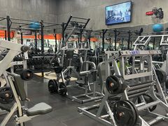 -健身专家Wellness Experts