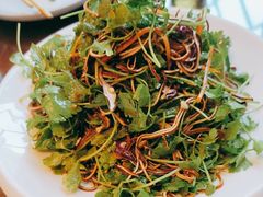 -东北大院·东北菜(三台子店)