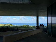 -涉地可支