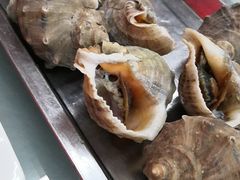 -渔民船说·北塘海鲜·天津菜·海肠捞饭(北塘古镇店)