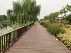 -西海子公园