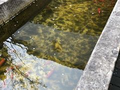 -不倒翁·徽天下名菜楼(马鞍山路店)