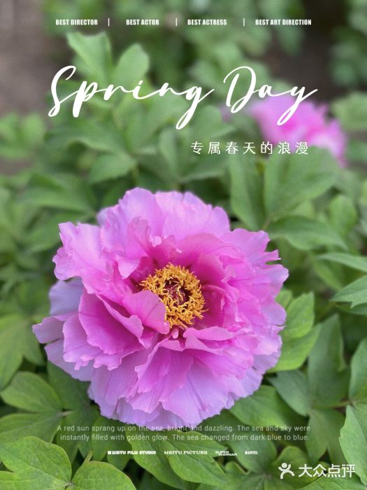 景山公园图片