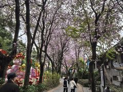 -柳侯公园
