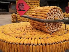 -白鹿原影视城