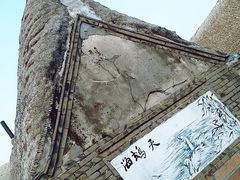 -烟墩角天鹅湖