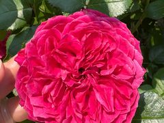 -上海交通大学(闵行校区)