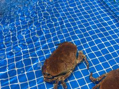 -三亚火车头万人海鲜广场