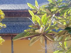 -灵顺寺
