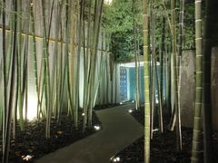 -穹六人间 people 6(岳阳路店)
