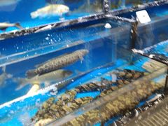 -哈尔信食品超市(哈尔滨王府井购物中心店)