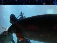 -珠海长隆海洋王国