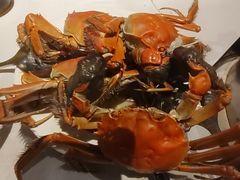 -领鲜活海鲜榴莲自助火锅(东门店)