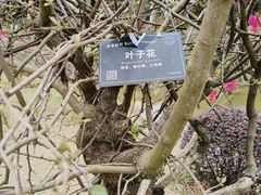 -东莞植物园