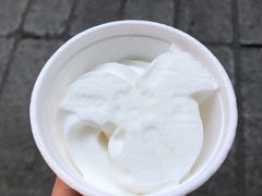 椰子雪糕-洪馨椰子