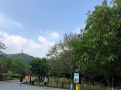 -中山市树木园